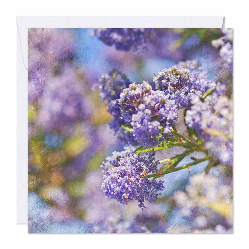 Card and Envelope
