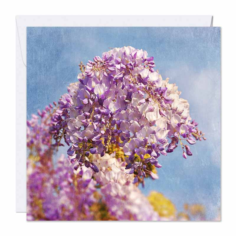 Card and Envelope